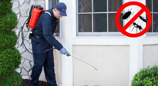 Varto Dezenfeksiyon böcek ilaçlama ve haşere kontrolü — ilaclama-tr.com